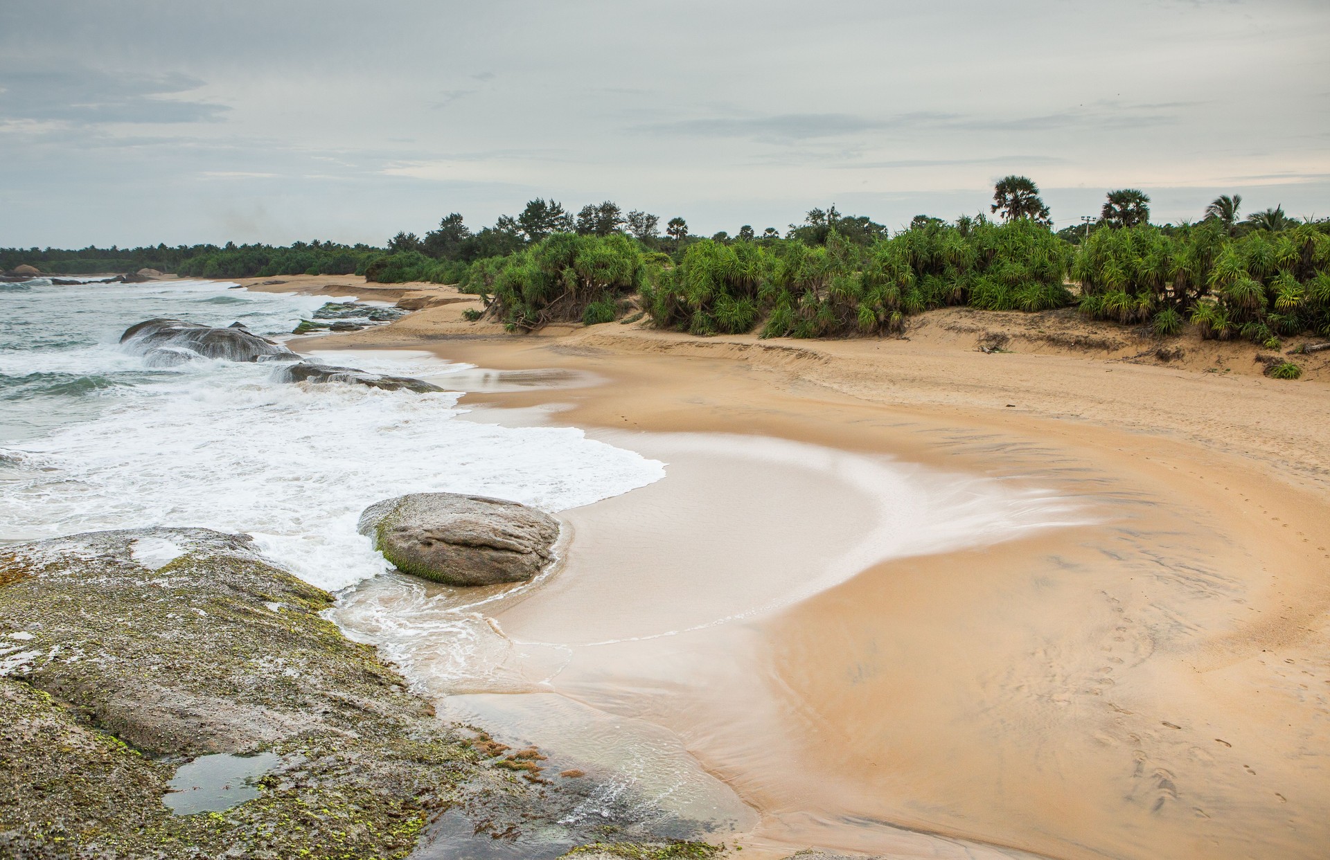Exotic Beach with Tropical Vibes in Sri Lanka