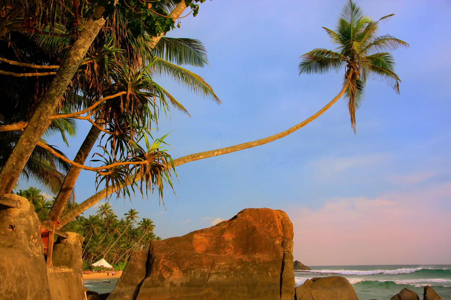 Leaning palm tree with big rocks, Unawatuna beach, Sri Lanka